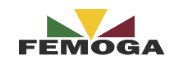 FEMOGA logo