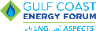 Gulf Coast Energy Forum logo