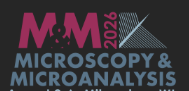 Microscopy & Microanalysis 2026 Annual Meeting logo