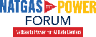 NatGas To Power Forum logo