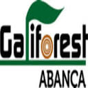 Galiforest Abanca logo