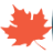 Canadian Mining Expo 2026 logo